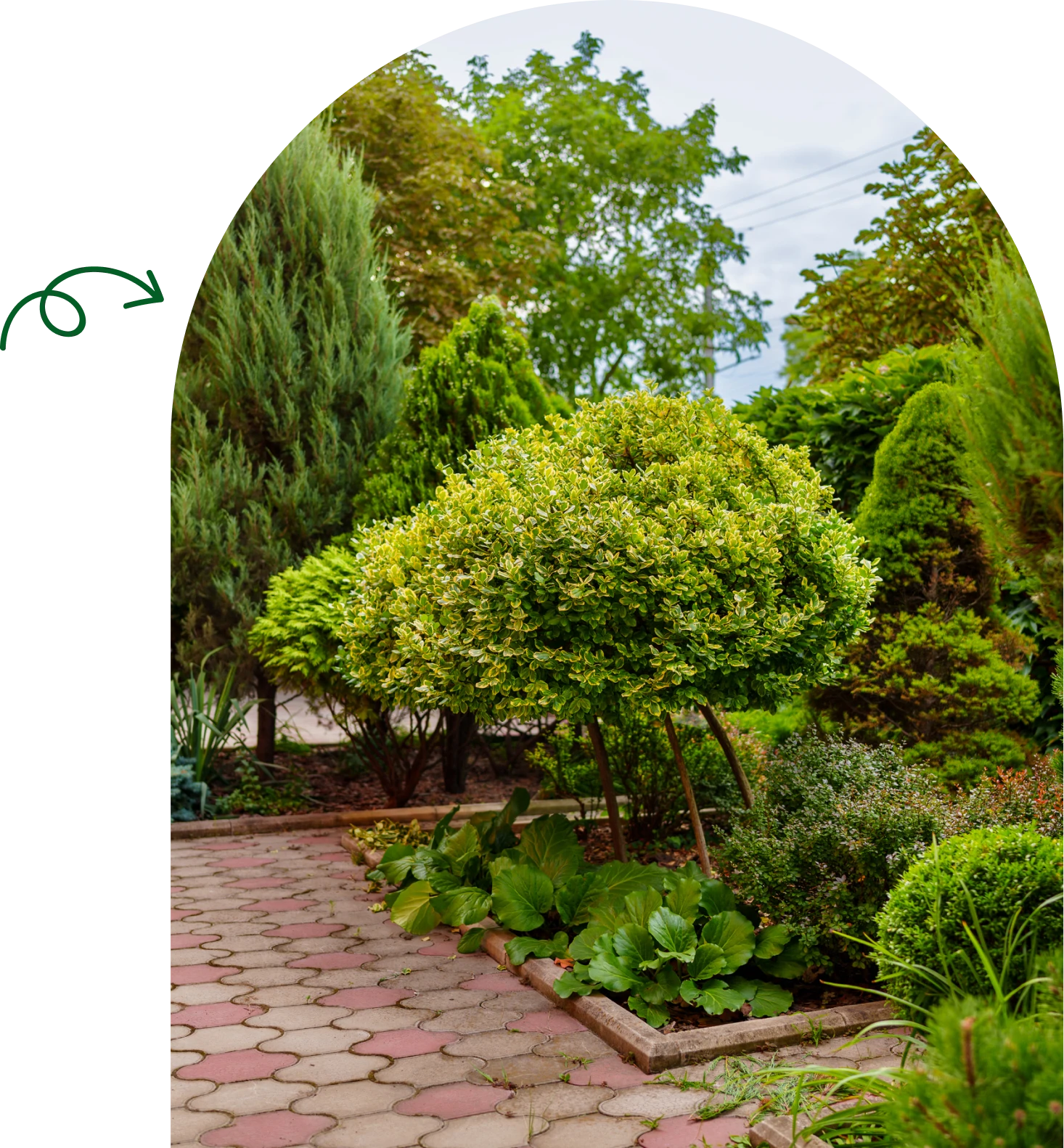 Curved pathway through vibrant garden