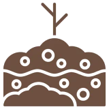 Soil Health and <br>Root Zone Management